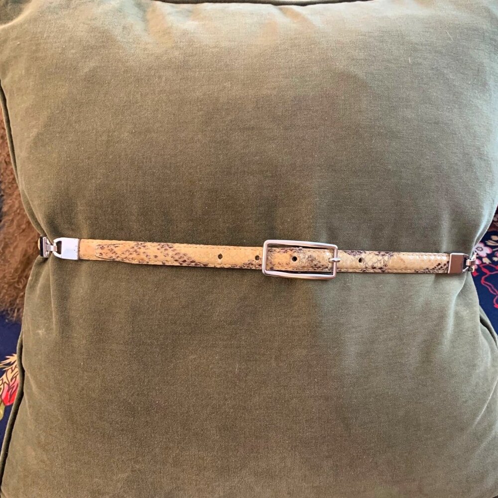 H&M Cream Snakeskin Belt with Silver Buckle and Side Link Hardware